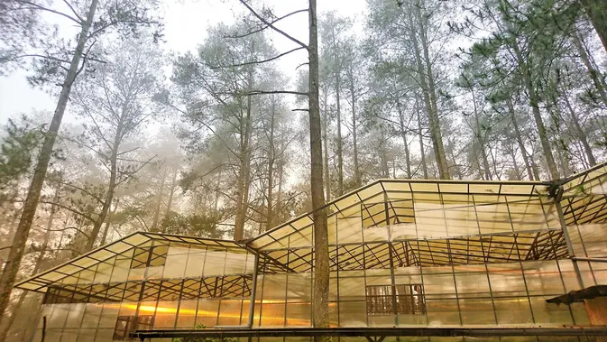 Ilustrasi tempat wisata lembang untuk artikel Tempat wisata lembang: 20 Tempat Wisata di Lembang yang Wajib…