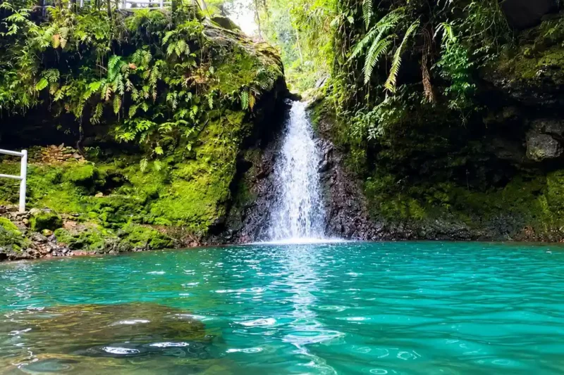 Ilustrasi curug pangeran bogor untuk artikel Curug Pangeran Bogor, Wisata Alam yang Menjaga Keaslian