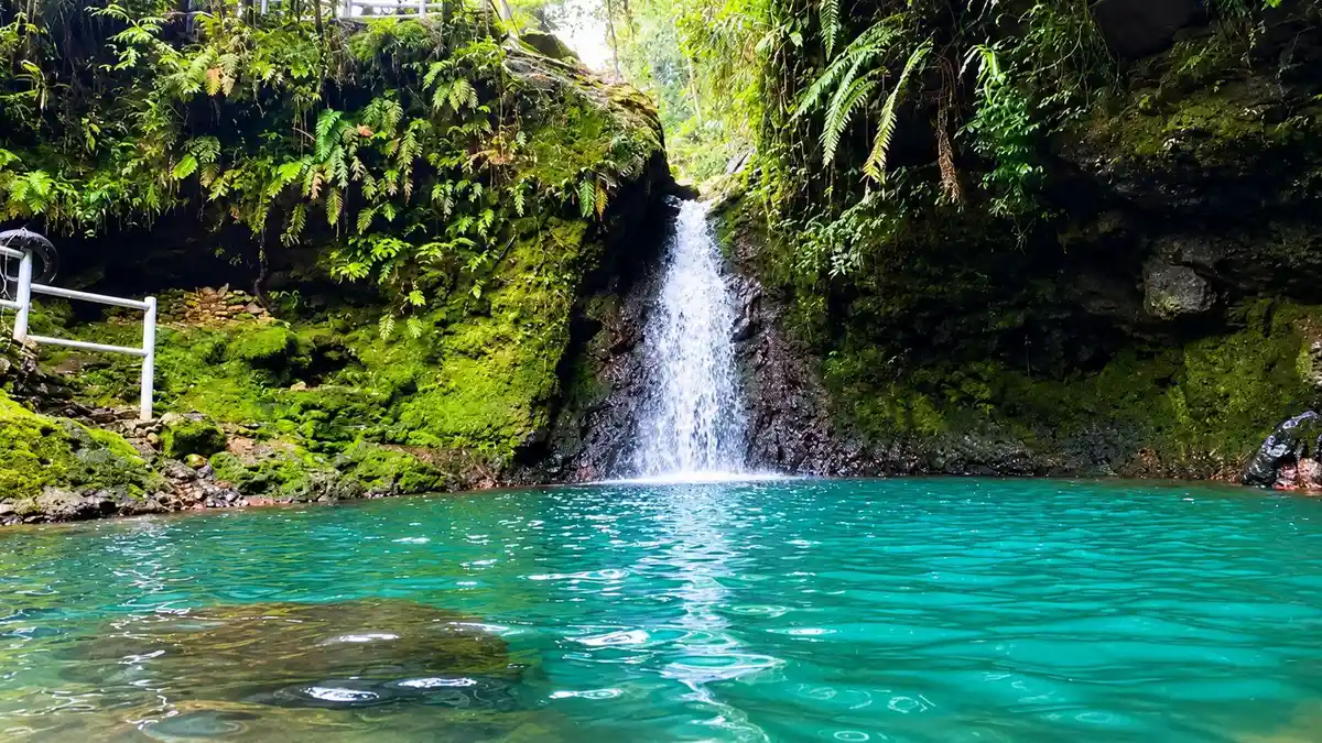 Ilustrasi curug pangeran bogor untuk artikel Curug Pangeran Bogor, Wisata Alam yang Menjaga Keaslian