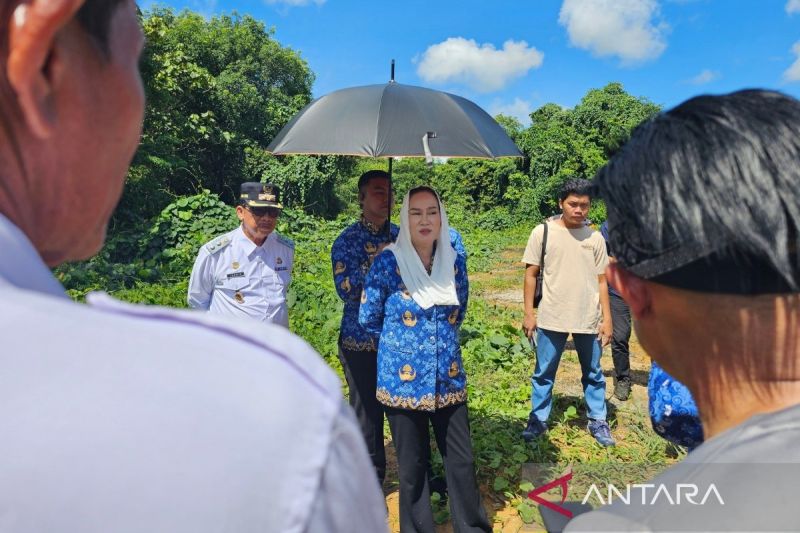 Ilustrasi normalisasi sungai natuna untuk artikel Pemkab Genjot Normalisasi Sungai Natuna Antisipasi Banjir