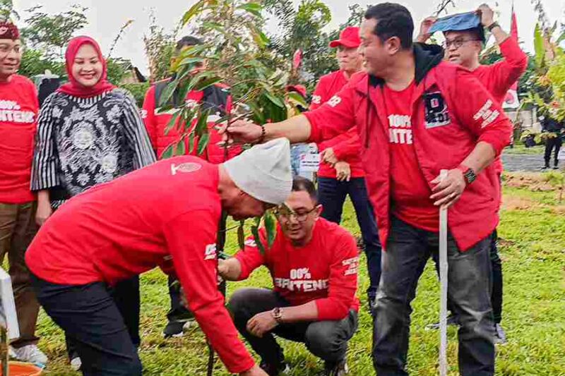Ilustrasi tanam pohon semeru untuk artikel Tanam Pohon Semeru, PDI-P Tanam 1.000 Pohon di Lereng