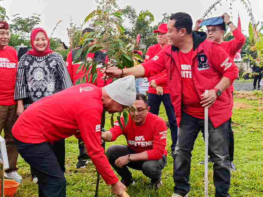 Tanam Pohon Semeru: PDI-P Tanam 1.000 Pohon Ilustrasi tanam pohon semeru untuk artikel Tanam Pohon Semeru, PDI-P Tanam 1.000 Pohon di Lereng