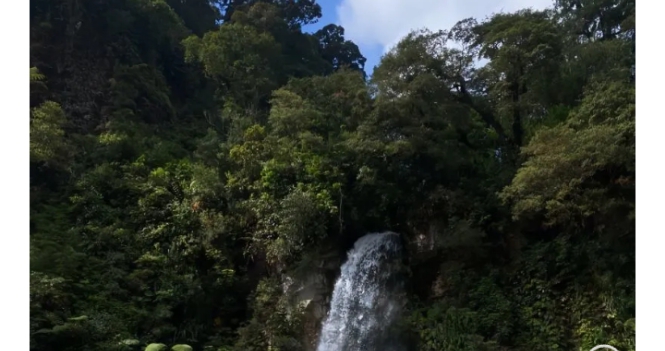Ilustrasi curug di bogor untuk artikel 7 Curug di Bogor untuk Trekking dan Healing