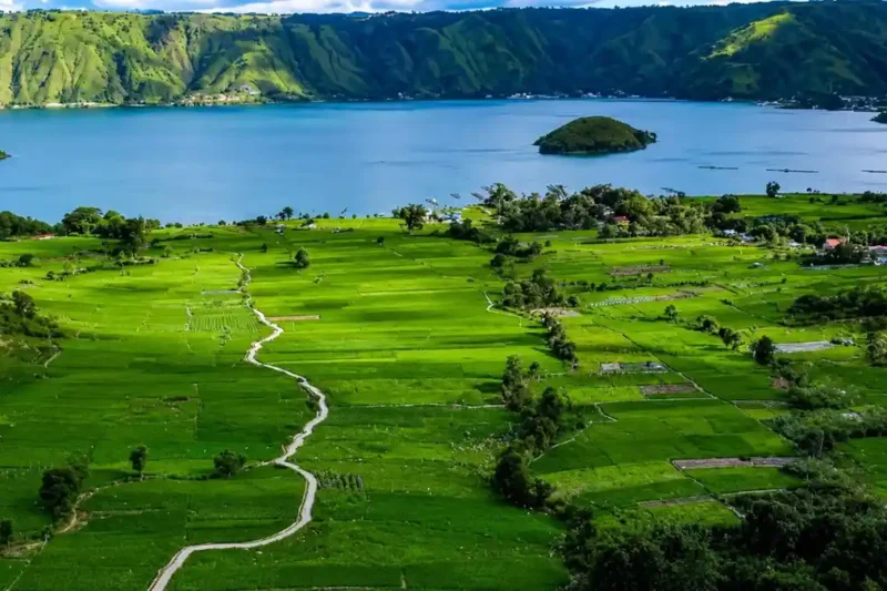 Ilustrasi desa wisata tipang untuk artikel Desa Wisata Tipang, Sumut: Liburan Sekolah Seru Keluarga