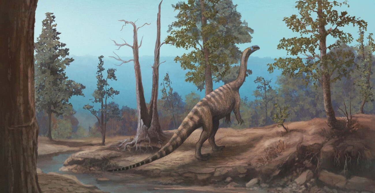 Ilustrasi fosil dinosaurus zimbabwe untuk artikel Fosil dinosaurus zimbabwe: Fosil dinosaurus 210 juta tahun…
