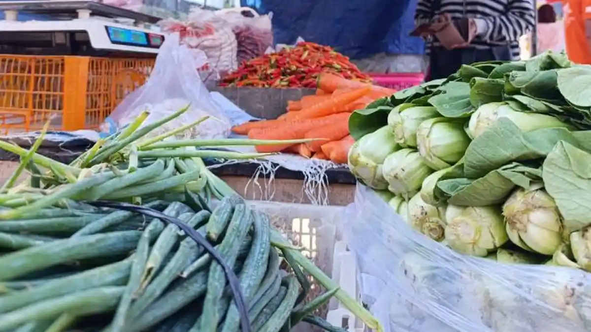 Harga selada Blitar turun jadi Rp8.000 Ilustrasi harga selada blitar untuk artikel Harga Selada Blitar Anjlok, dari Rp40.000 Jadi Rp8.000