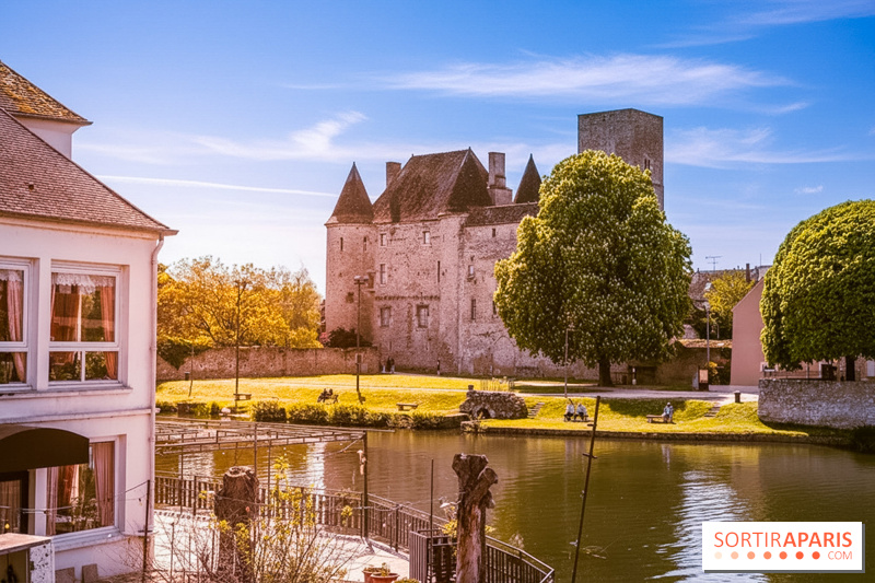 Ilustrasi kastil ile-de-france untuk artikel Kastil Ile-de-France yang Tersembunyi dan Jarang Dikunjungi