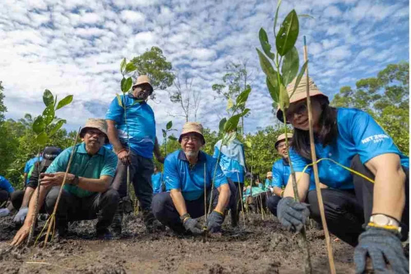 Ilustrasi tanam pokok bakau untuk artikel Tanam pokok bakau: TNB tanam 25,000 pokok bakau perkuat agenda…