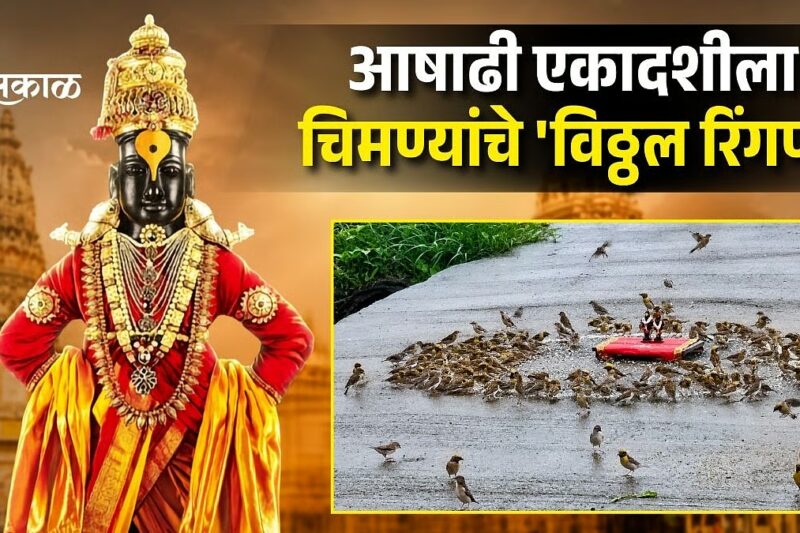 Ilustrasi vitthal ringan untuk artikel Vitthal Ringan di Donawade: Ribuan Burung Hiasi Ashadhi Ekadashi