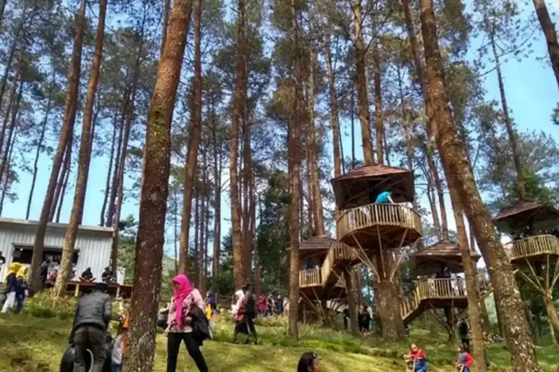 Ilustrasi wahana salju lawu park untuk artikel Wahana Salju Lawu Park II Tawangmangu Bikin Akhir Pekan Seru