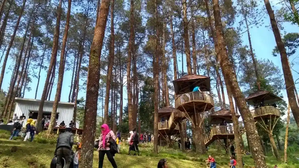 Ilustrasi wahana salju tawangmangu untuk artikel Wahana Salju Tawangmangu Jadi Daya Tarik Baru di Lawu Park II