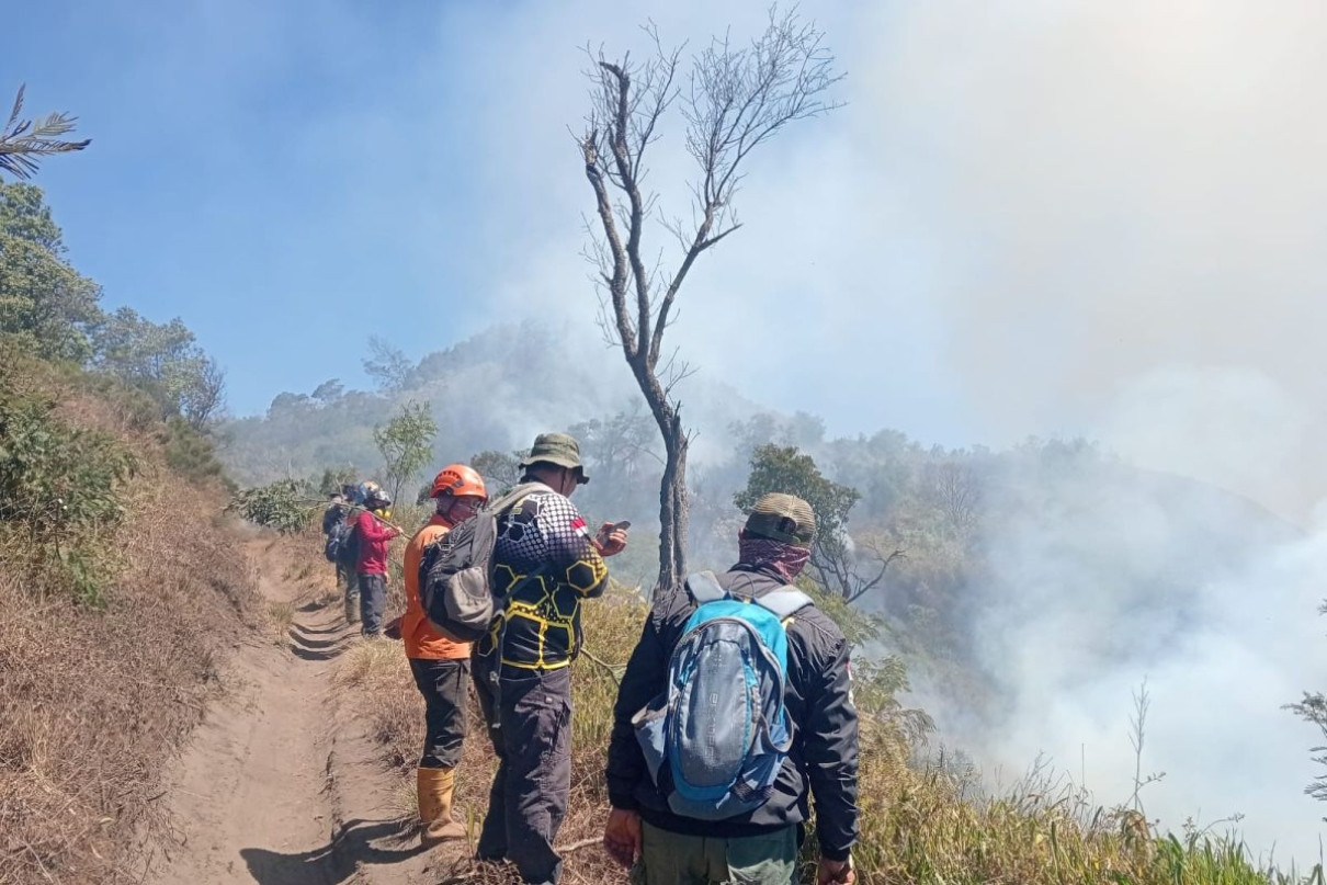 Ilustrasi karhutla gunung bromo untuk artikel Karhutla Gunung Bromo Meluas, Api Mengarah ke Puncak B-29
