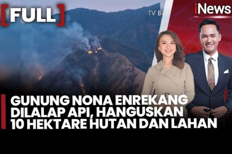 Ilustrasi kebakaran gunung nona untuk artikel Kebakaran Gunung Nona Enrekang Hanguskan 10 Hektare Hutan