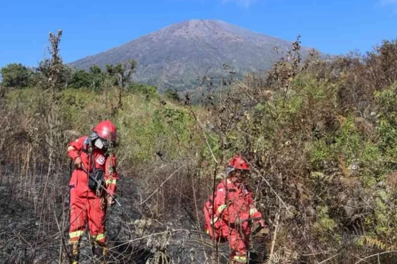 Ilustrasi kebakaran gunung rinjani untuk artikel Kebakaran Gunung Rinjani Berhasil Dipadamkan