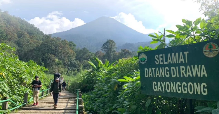 Ilustrasi pendakian gunung gede untuk artikel Pendakian Gunung Gede Ditutup Sementara 7-11 Agustus 2026