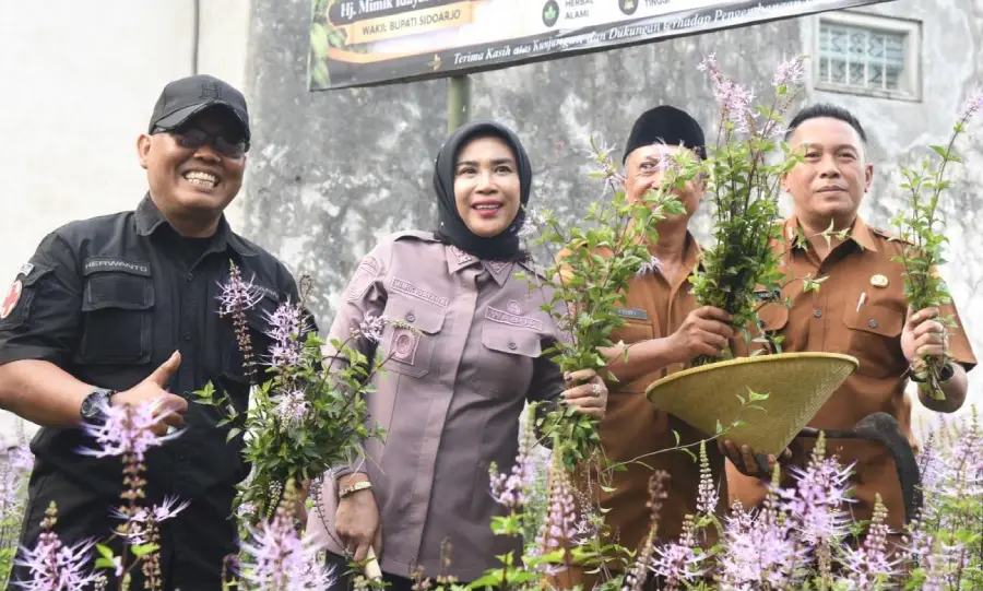 Ilustrasi umkm herbal untuk artikel Sidoarjo Dorong Pengembangan UMKM Herbal Daun Kumis Kucing
