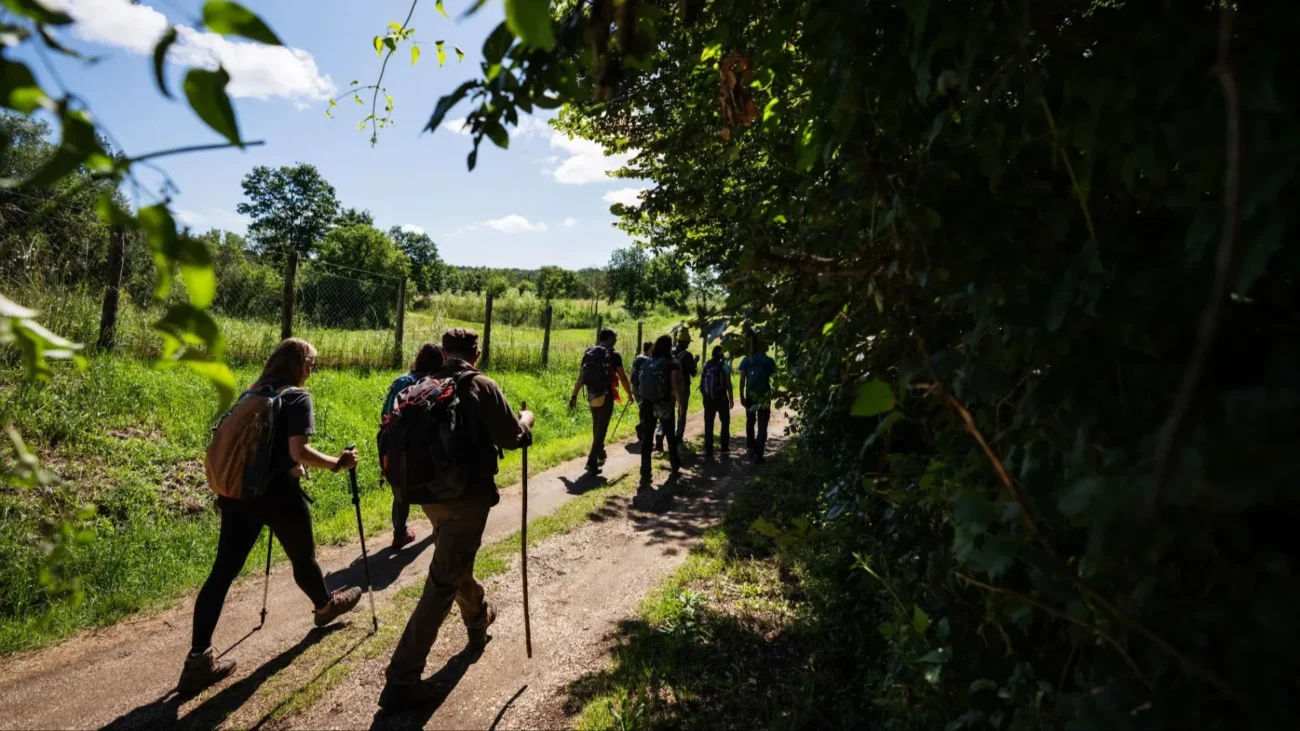 Ilustrasi via francigena untuk artikel Via Francigena: Alternatif 5 Hari ke Camino yang Lebih Sepi