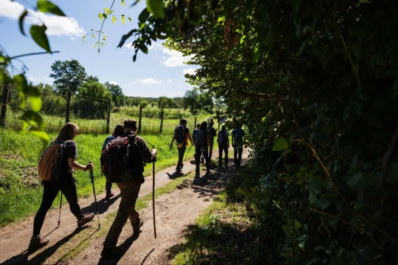 Ilustrasi via francigena untuk artikel Via Francigena: Alternatif 5 Hari ke Camino yang Lebih Sepi