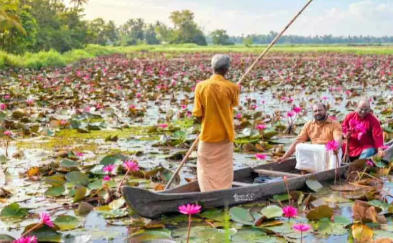 Ilustrasi manappally padasekharam untuk artikel Manappally Padasekharam di Vaikom Diserbu Pengunjung