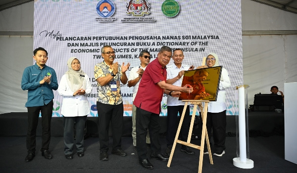Ilustrasi perluasan nanas untuk artikel Perluasan nanas sasar lebih 5.000 ekar dalam 6 tahun
