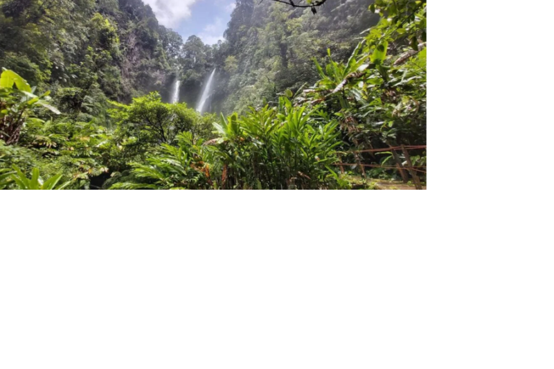 Ilustrasi situ gunung untuk artikel Menepi di Situ Gunung: Alam Dekat Ibu Kota